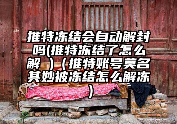 推特冻结会自动解封吗(推特冻结了怎么解 )（推特账号莫名其妙被冻结怎么解冻）