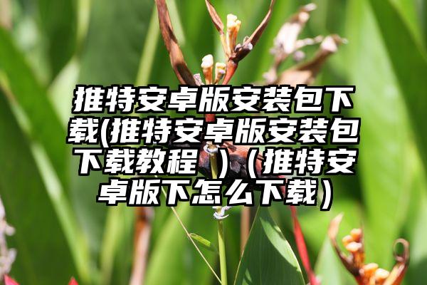 推特安卓版安装包下载(推特安卓版安装包下载教程 )（推特安卓版下怎么下载）