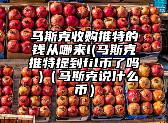 马斯克收购推特的钱从哪来l(马斯克推特提到fil币了吗 )（马斯克说什么币）