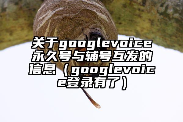 关于googlevoice永久号与辅号互发的信息（googlevoice登录有了）