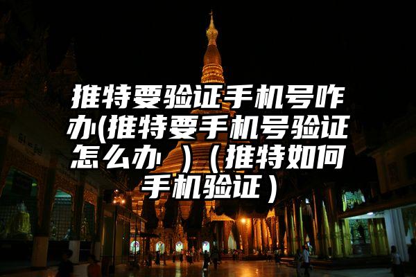 推特要验证手机号咋办(推特要手机号验证怎么办 )(推特如何手机验证)