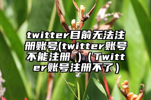 twitter目前无法注册账号(twitter账号不能注册 )（Twitter账号注册不了）