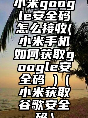 小米google安全码怎么接收(小米手机如何获取google安全码 )（小米获取谷歌安全码）