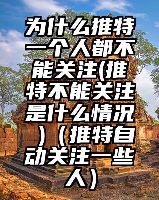 为什么推特一个人都不能关注(推特不能关注是什么情况 )（推特自动关注一些人）
