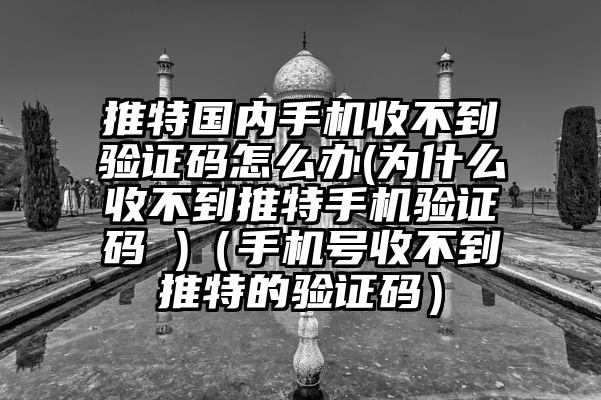 推特国内手机收不到验证码怎么办(为什么收不到推特手机验证码 )（手机号收不到推特的验证码）