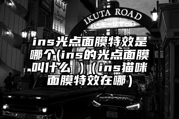 ins光点面膜特效是哪个(ins的光点面膜叫什么 )（ins猫咪面膜特效在哪）
