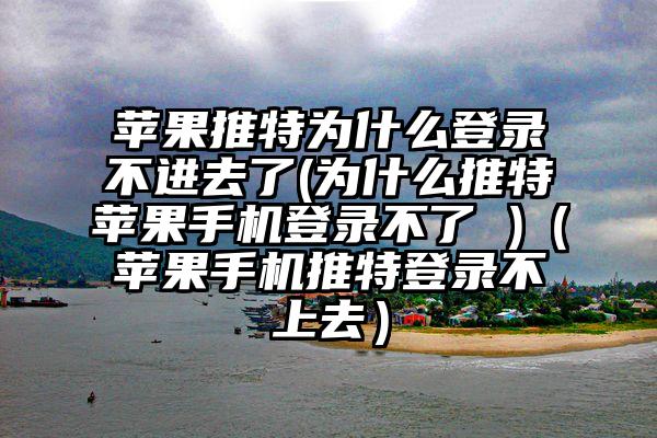 苹果推特为什么登录不进去了(为什么推特苹果手机登录不了 )（苹果手机推特登录不上去）