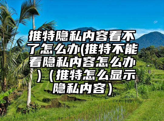 推特隐私内容看不了怎么办(推特不能看隐私内容怎么办 )（推特怎么显示隐私内容）