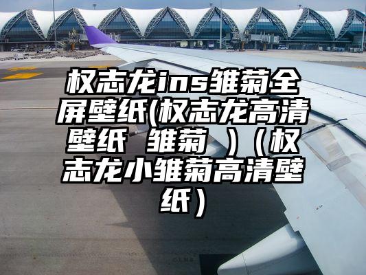 权志龙ins雏菊全屏壁纸(权志龙高清壁纸 雏菊 )（权志龙小雏菊高清壁纸）