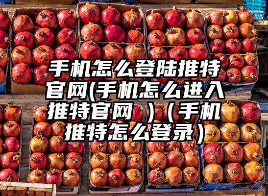 手机怎么登陆推特官网(手机怎么进入推特官网 )（手机推特怎么登录）