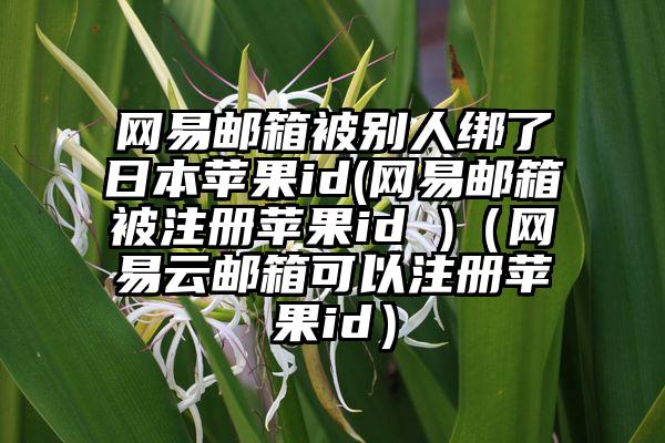 网易邮箱被别人绑了日本苹果id(网易邮箱被注册苹果id )（网易云邮箱可以注册苹果id）