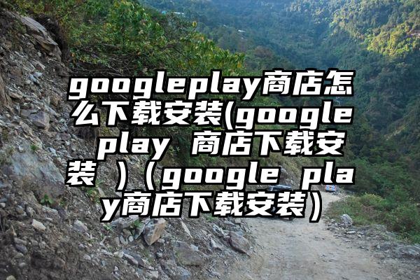 googleplay商店怎么下载安装(google play 商店下载安装 )（google play商店下载安装）
