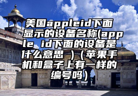 美国appleid下面显示的设备名称(apple id下面的设备是什么意思 )（苹果手机和盒子上有一样的编号吗）