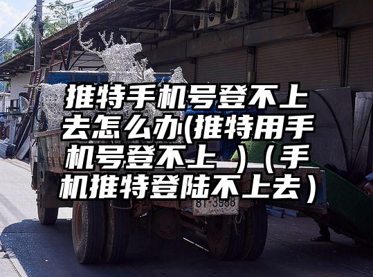 推特手机号登不上去怎么办(推特用手机号登不上 )（手机推特登陆不上去）