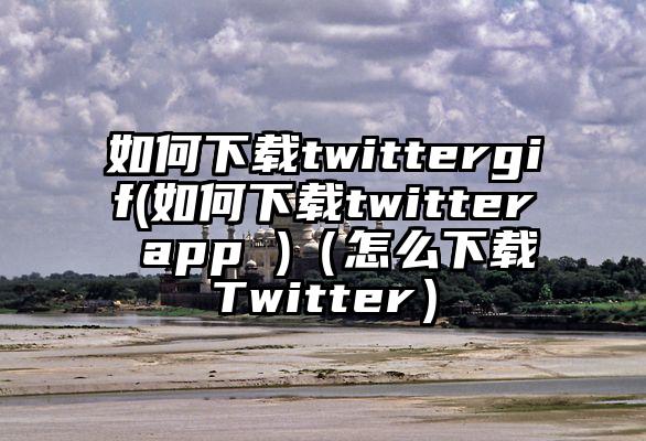 如何下载twittergif(如何下载twitter app )(怎么下载Twitter)