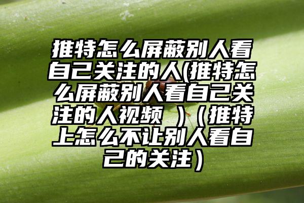 推特怎么屏蔽别人看自己关注的人(推特怎么屏蔽别人看自己关注的人视频 )（推特上怎么不让别人看自己的关注）