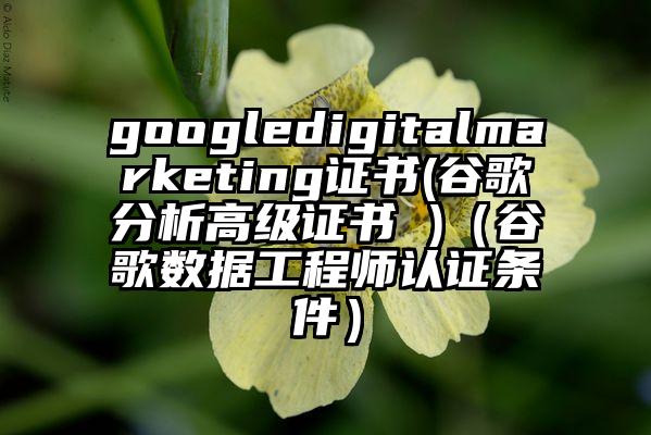 googledigitalmarketing证书(谷歌分析高级证书 )（谷歌数据工程师认证条件）