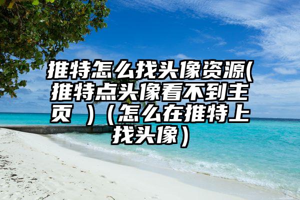 推特怎么找头像资源(推特点头像看不到主页 )（怎么在推特上找头像）