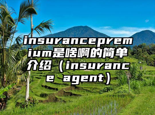 insurancepremium是啥啊的简单介绍（insurance agent）