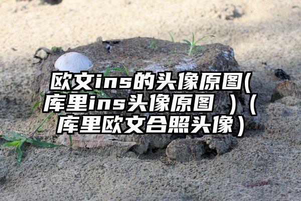 欧文ins的头像原图(库里ins头像原图 )（库里欧文合照头像）