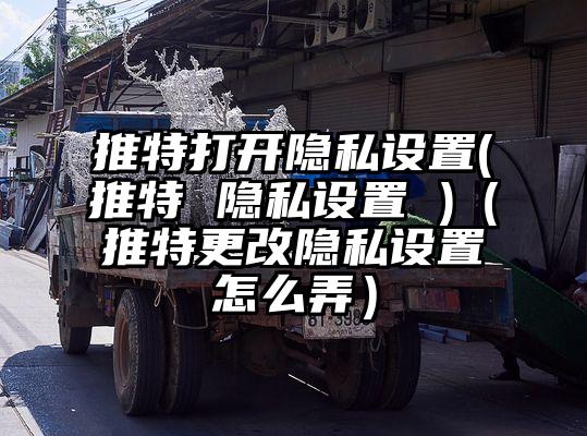 推特打开隐私设置(推特 隐私设置 )(推特更改隐私设置怎么弄)