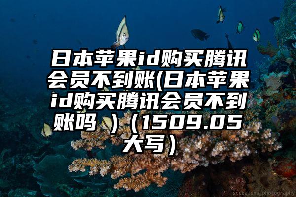 日本苹果id购买腾讯会员不到账(日本苹果id购买腾讯会员不到账吗 )（1509.05大写）