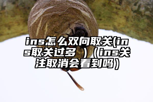 ins怎么双向取关(ins取关过多 )（ins关注取消会看到吗）