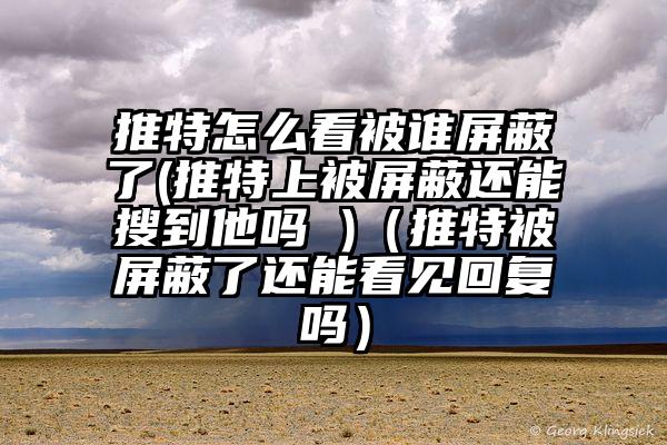 推特怎么看被谁屏蔽了(推特上被屏蔽还能搜到他吗 )（推特被屏蔽了还能看见回复吗）