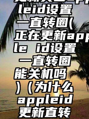 更新美国appleid设置一直转圈(正在更新apple id设置一直转圈能关机吗 )（为什么appleid更新直转圈）