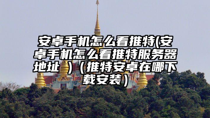 安卓手机怎么看推特(安卓手机怎么看推特服务器地址 )（推特安卓在哪下载安装）