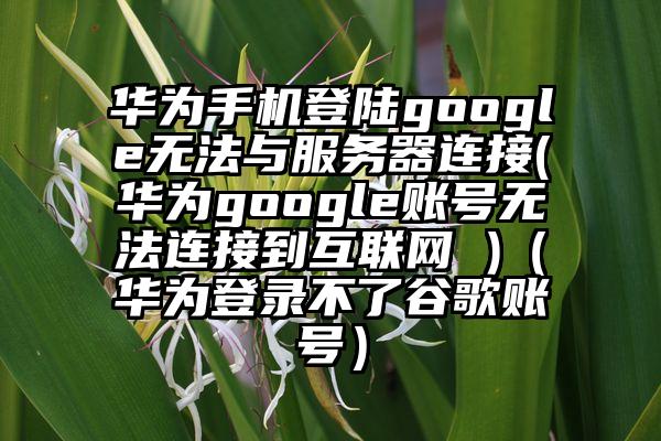 华为手机登陆google无法与服务器连接(华为google账号无法连接到互联网 )（华为登录不了谷歌账号）