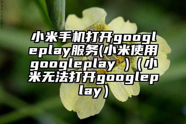 小米手机打开googleplay服务(小米使用googleplay )（小米无法打开googleplay）