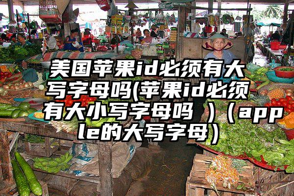 美国苹果id必须有大写字母吗(苹果id必须有大小写字母吗 )(apple的大写字母)