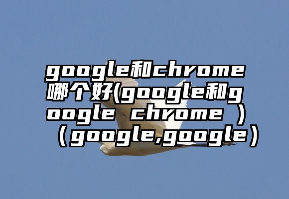 google和chrome哪个好(google和google chrome )（google,google）
