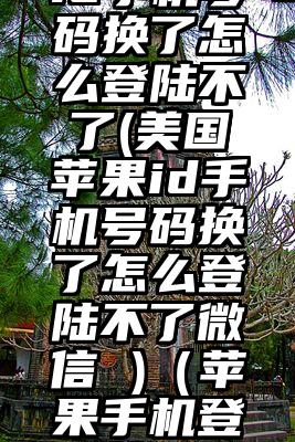 美国苹果id手机号码换了怎么登陆不了(美国苹果id手机号码换了怎么登陆不了微信 )（苹果手机登入美国id）