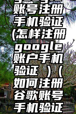 google账号注册手机验证(怎样注册google账户手机验证 )（如何注册谷歌账号手机验证）