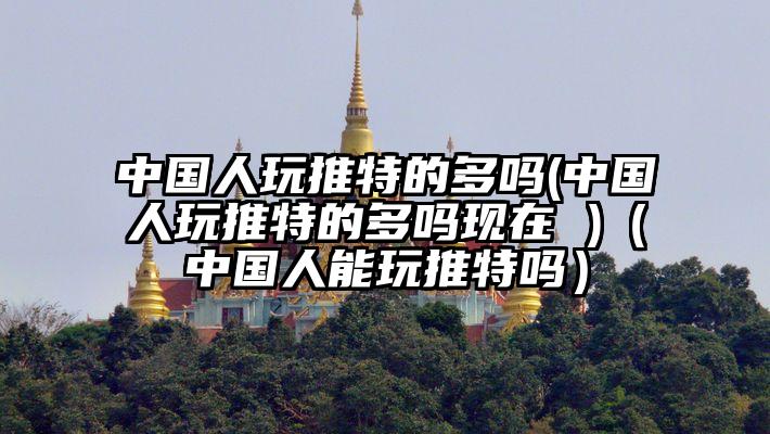 中国人玩推特的多吗(中国人玩推特的多吗现在 )（中国人能玩推特吗）