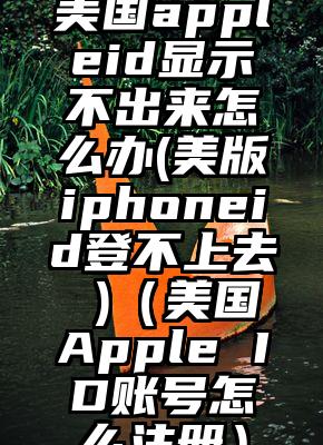美国appleid显示不出来怎么办(美版iphoneid登不上去 )（美国Apple ID账号怎么注册）