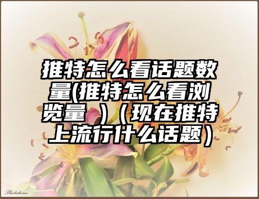 推特怎么看话题数量(推特怎么看浏览量 )（现在推特上流行什么话题）