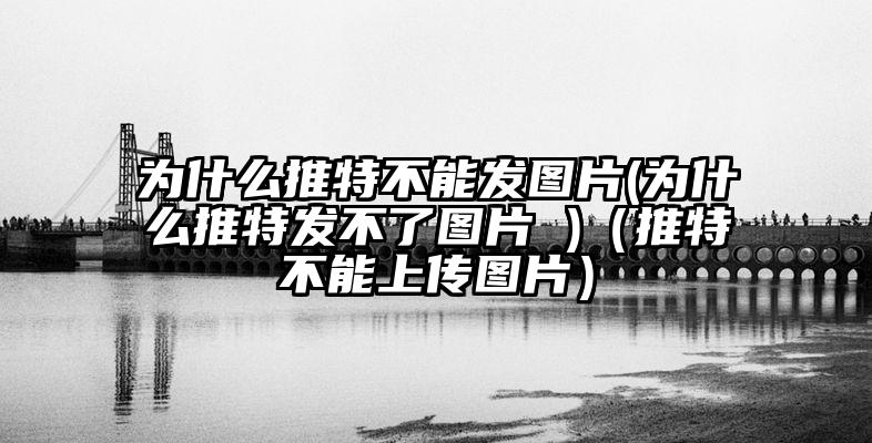 为什么推特不能发图片(为什么推特发不了图片 )（推特不能上传图片）