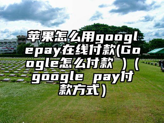 苹果怎么用googlepay在线付款(Google怎么付款 )（google pay付款方式）