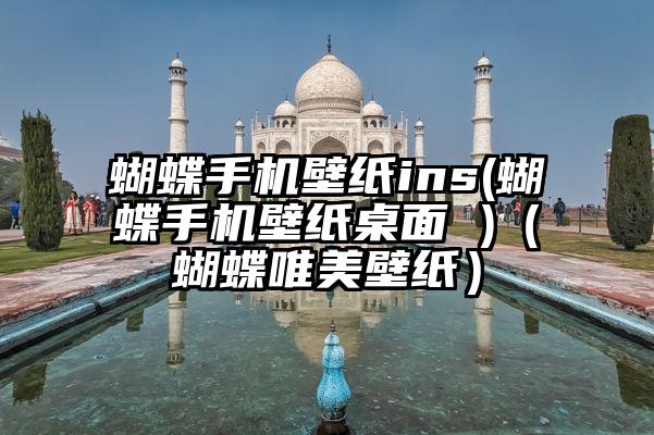 蝴蝶手机壁纸ins(蝴蝶手机壁纸桌面 )（蝴蝶唯美壁纸）