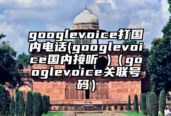 googlevoice打国内电话(googlevoice国内接听 )（googlevoice关联号码）