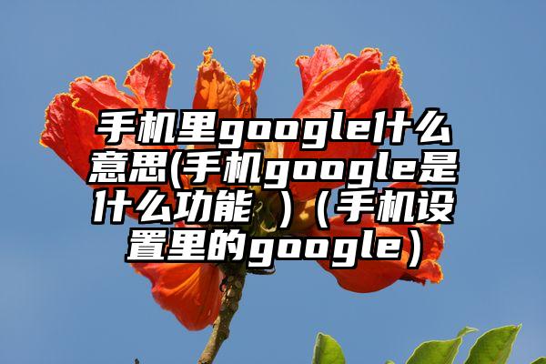 手机里google什么意思(手机google是什么功能 )（手机设置里的google）