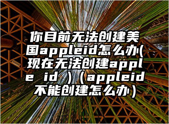 你目前无法创建美国appleid怎么办(现在无法创建apple id )(appleid不能创建怎么办)