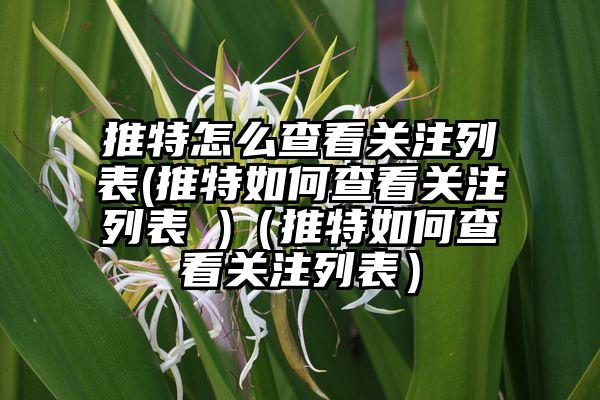 推特怎么查看关注列表(推特如何查看关注列表 )（推特如何查看关注列表）