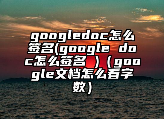 googledoc怎么签名(google doc怎么签名 )（google文档怎么看字数）
