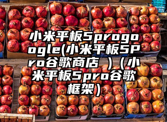 小米平板5progoogle(小米平板5Pro谷歌商店 )（小米平板5pro谷歌框架）