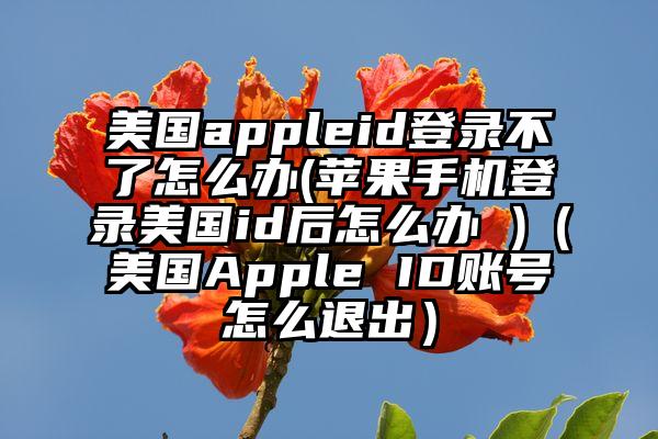 美国appleid登录不了怎么办(苹果手机登录美国id后怎么办 )（美国Apple ID账号怎么退出）