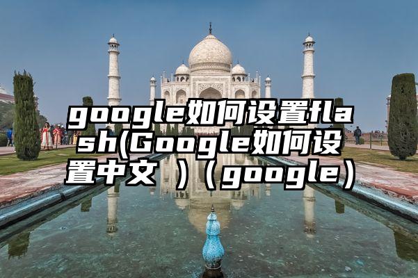 google如何设置flash(Google如何设置中文 )（google）